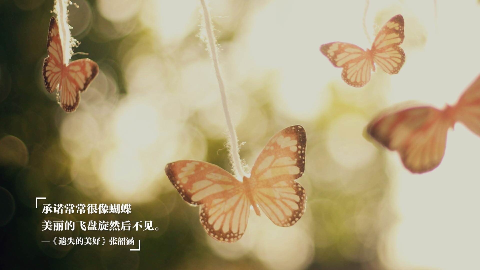 那不勒斯稳稳拿下贝蒂斯，金玟哉成为关键先生