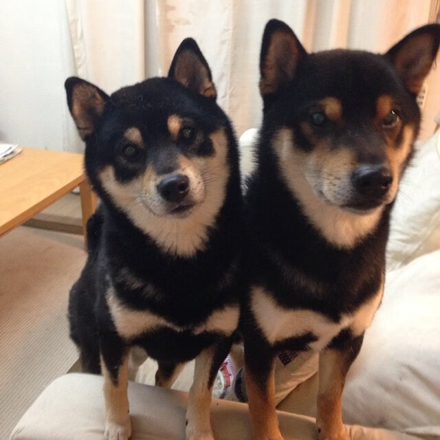 苏格兰决胜局带走皇马，劳塔罗成为关键先生，一场改写剧本的绿茵风暴