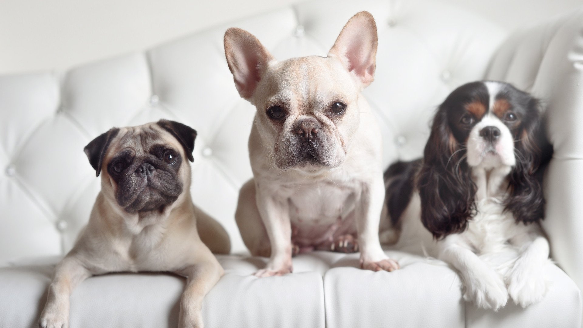 掘金让球转移，欧文让球静止，关于掌控力的两种解法