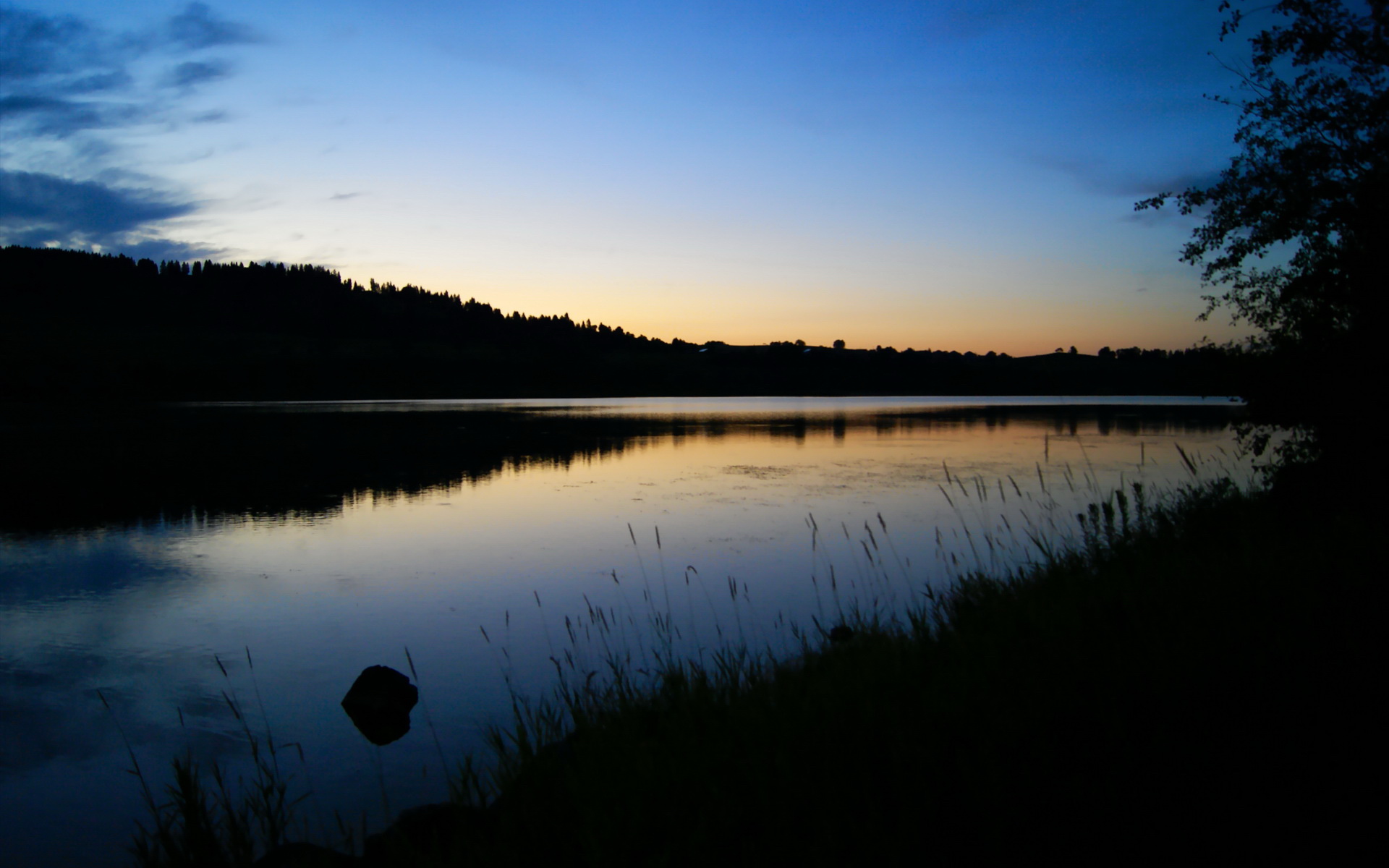 新王加冕！沙特资本掌控的纽卡斯尔问鼎欧冠，佛罗伦萨决赛夜见证历史